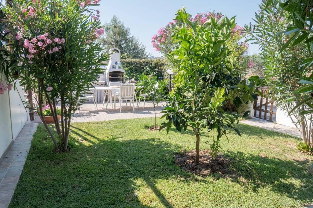 Appartamento con piscina comune. Viddalba Esterno foto